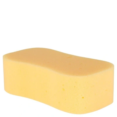 Image of Carr &amp; Day Martin sponge