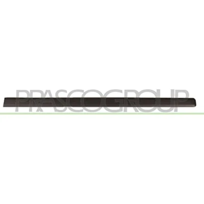 Image of Trim/Protection Strip, door PRASCO FT1221403