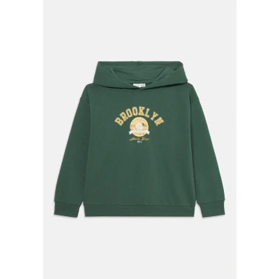Image of Name it Nkmvelten Hoodie for kids, Size: 6y, Garden topiary
