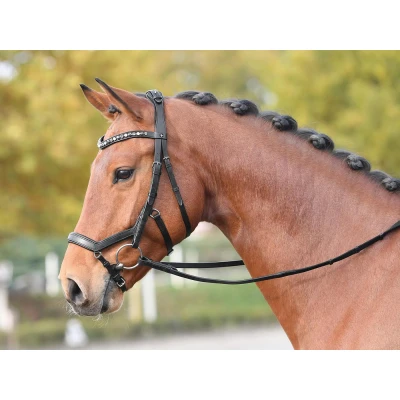 Image of Busse bridle Feeling