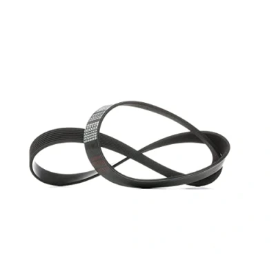 Image of V Ribbed Belt FEBI BILSTEIN 29054
