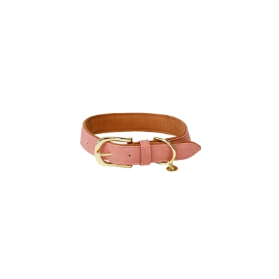 Image of Kentucky Dog Collar Soft Vegan Leather