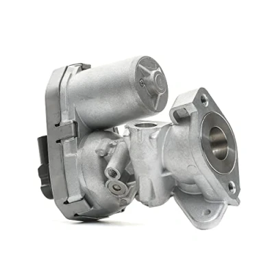 Image of EGR Valve DELPHI EG10399 12B1