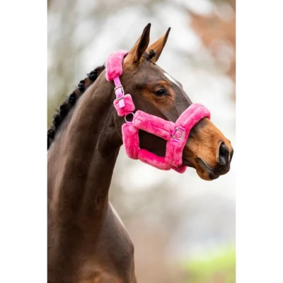 Image of HB showtime Allround Teddy halter