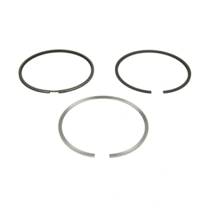 Image of Piston Ring Kit KOLBENSCHMIDT 800118310000