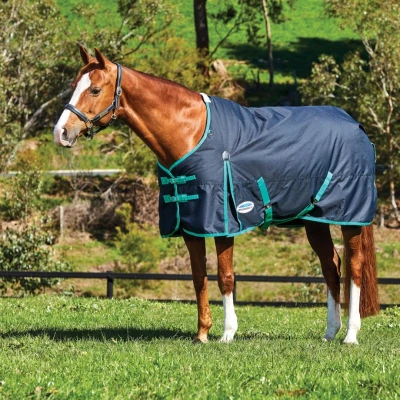 Image of Weatherbeeta ComFiTec Classic Standard Neck Medium 220g Black/Green