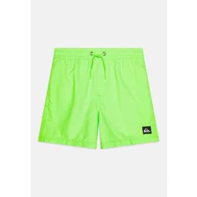 Image of Quiksilver Everyday Solid Volley Swimming shorts for kids, Size: 16t, Green gecko