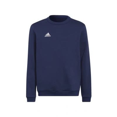 Image of adidas Performance Entrada 22 Sweatshirt, Size: 13 14y, Team navy blue
