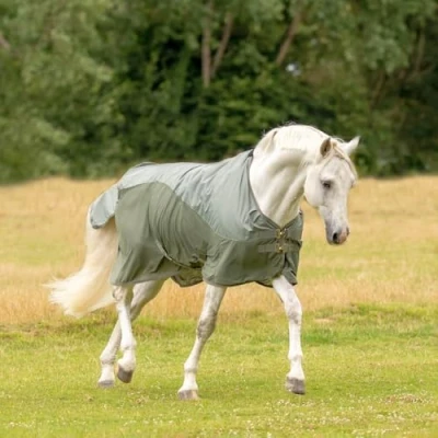 Image of Busse Paddock rug Rainfly
