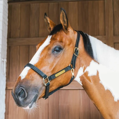 Image of Kentucky Leather Halter Wellington