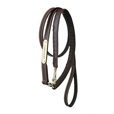 Image of Kentucky Leather Covered Chain Lead