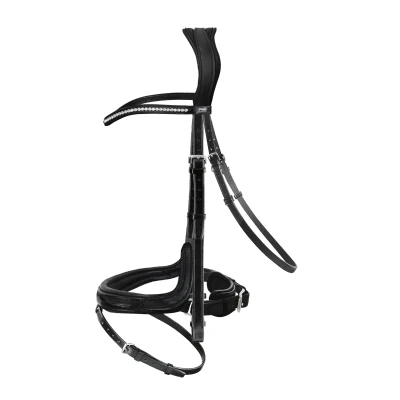 Image of Passier Starlight bridle