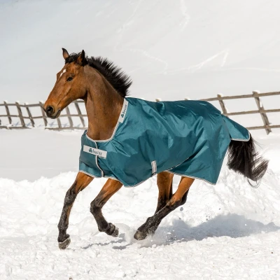 Image of Bucas Atlantic Turnout Pony