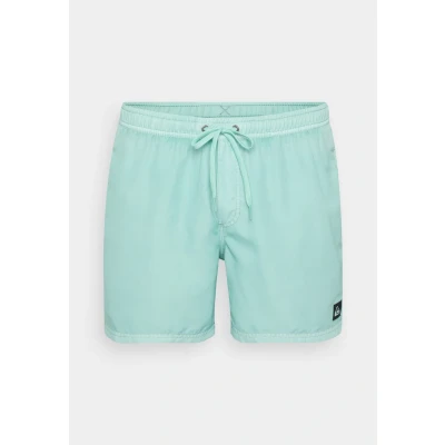Image of Quiksilver Men&#039;s Everyday Surfwash Volley 15 Board Shorts
