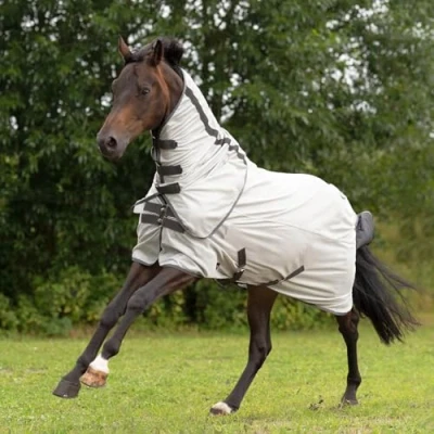 Image of Busse Paddock Fly Rug Sunshine ll