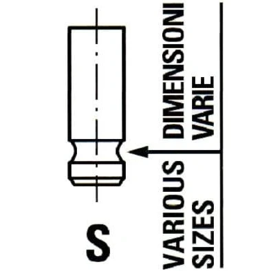 Image of Intake Valve FRECCIA R6284/SNT
