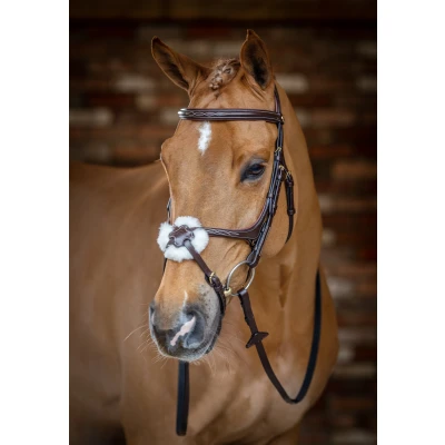 Image of LeMieux Grackle bridle