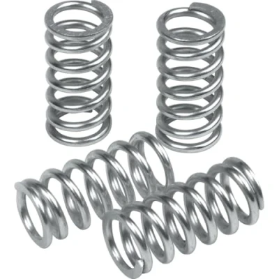 Image of Clutch Spring Set TRW MEF101 6