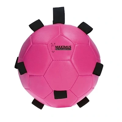 Image of Maximus Fun Play Ball