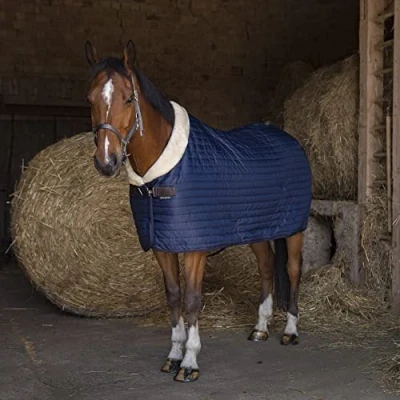 Image of Equithème Teddy Stable Rug
