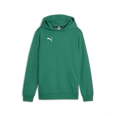 Image of PUMA Boy&#039;s Teamgoal Casuals Hoody Jr Pullover