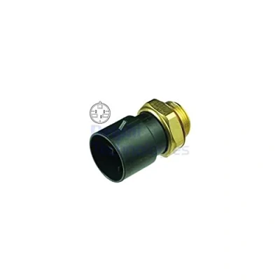 Image of Temperature Switch, radiator fan DELPHI TS10342