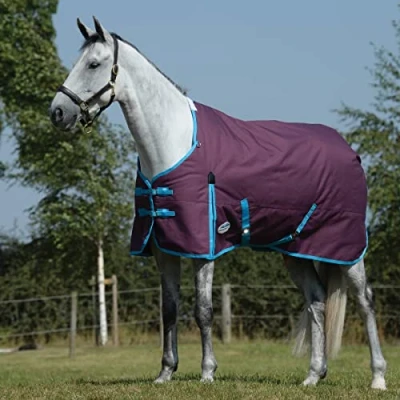Image of Weatherbeeta ComFiTec Essential Standard Neck Medium 220g Grape Purple/Blue