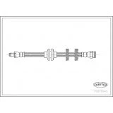 Image of Brake Hose CORTECO 19019945