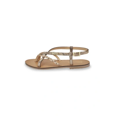 Image of Les Tropéziennes par M. Belarbi Women&#039;s Chou Sandals Strap Back, Snake Beige, 39 EU