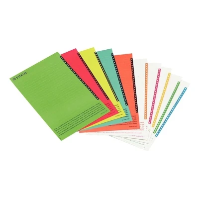 Image of Esselte Labels for Suspension Files Assorted Colours