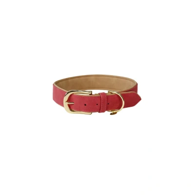 Image of Kentucky Dog Collar Soft Vegan Leather