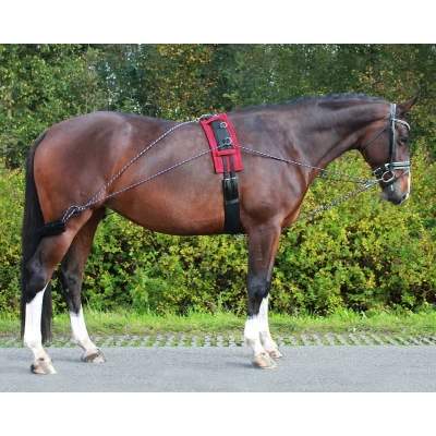 Image of QHP Lunging aid rein
