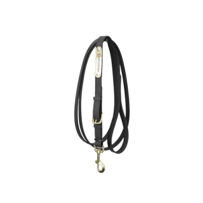 Image of Kentucky Presentation Lead Black