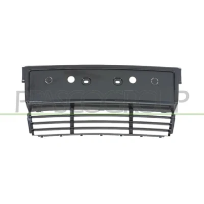 Image of Licence Plate Holder PRASCO BM0421539