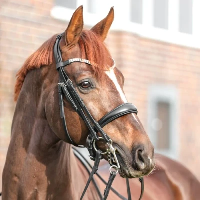 Image of Kavalkade Double Bridle Sonya