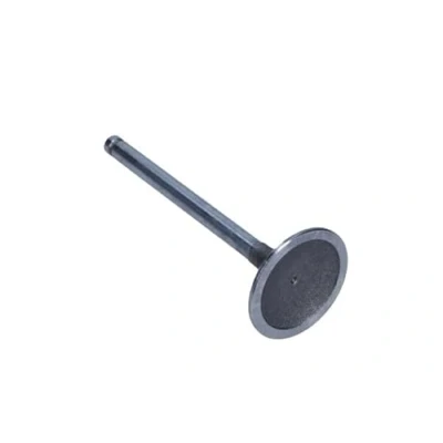 Image of Inlet Valve FRECCIA R4383/SCR