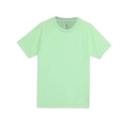 Image of PUMA Boy&#039;s Evostripe Tee B Tees (Pack of 1)