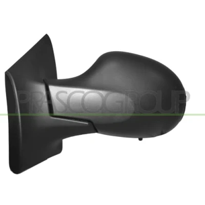 Image of Exterior Mirror PRASCO RN3067304P