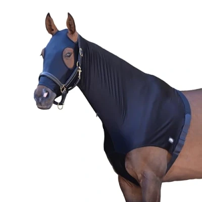 Image of Weatherbeeta Stretch Hood with zip