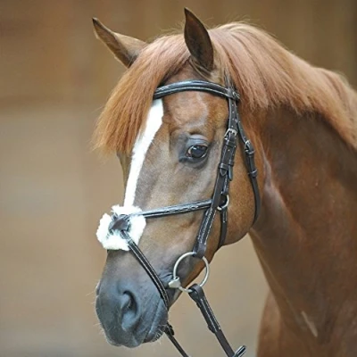 Image of Kavalkade Bridle Diandro mexican noseband