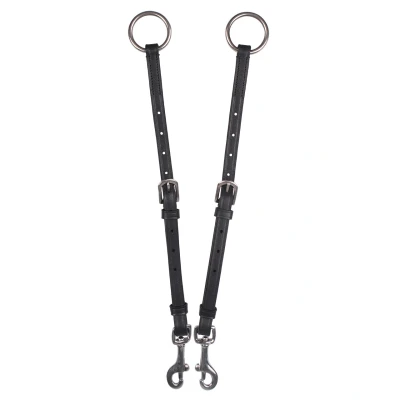 Image of QHP Martingale fork regular