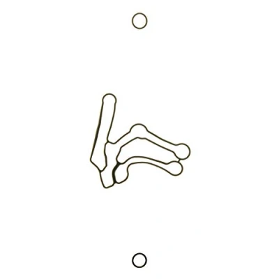 Image of Gasket Set, oil cooler AJUSA 77008000