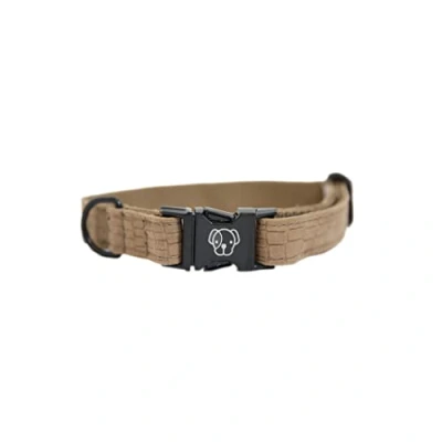 Image of Kentucky Dog Collar Lizard