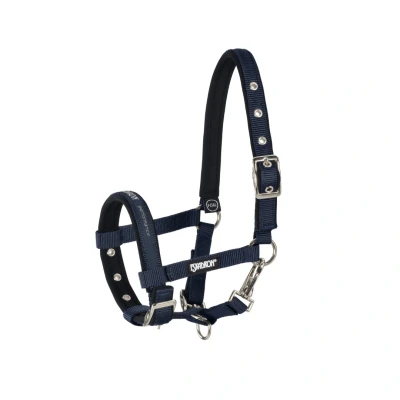 Image of Eskadron halter foal