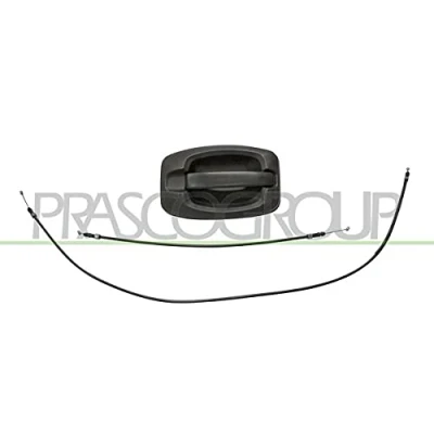 Image of Exterior Door Handle PRASCO FT9308141