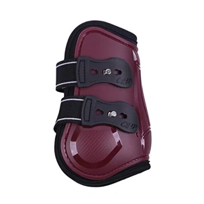 Image of QHP Fetlock boots Champion