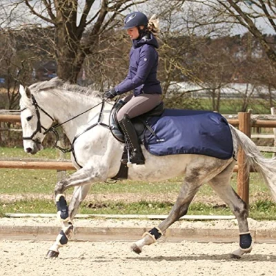 Image of Busse Training rug Rain 50