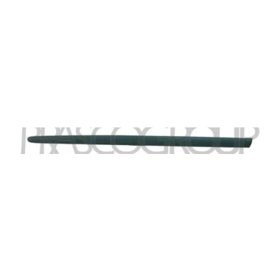 Image of Trim/Protection Strip, door PRASCO PG0091414