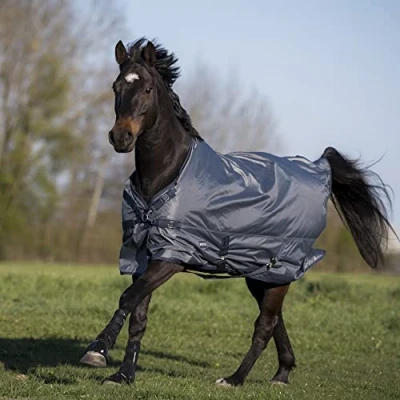 Image of Busse Outdoor rug Windchill 00