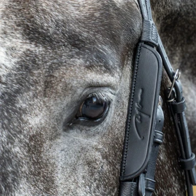 Image of Dyon Blinkers